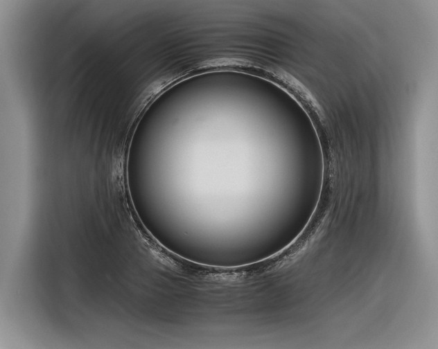 X0000116260937200912071019