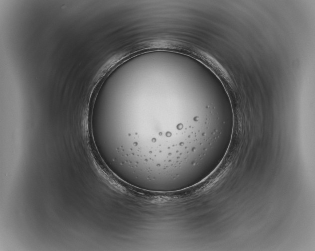 X0000116260938200912071019