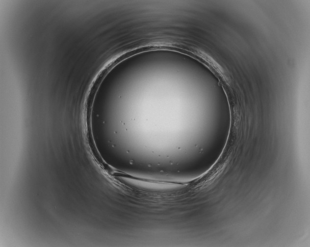 X0000116260939200912071019
