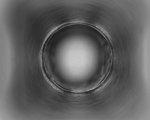 X0000116260941200912071019