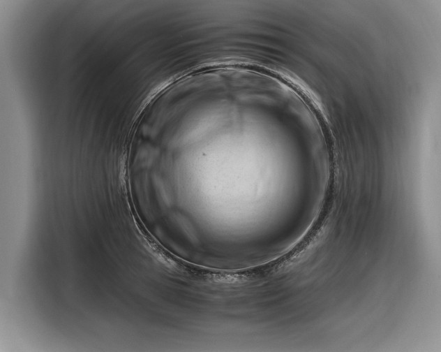 X0000116260945200912071019