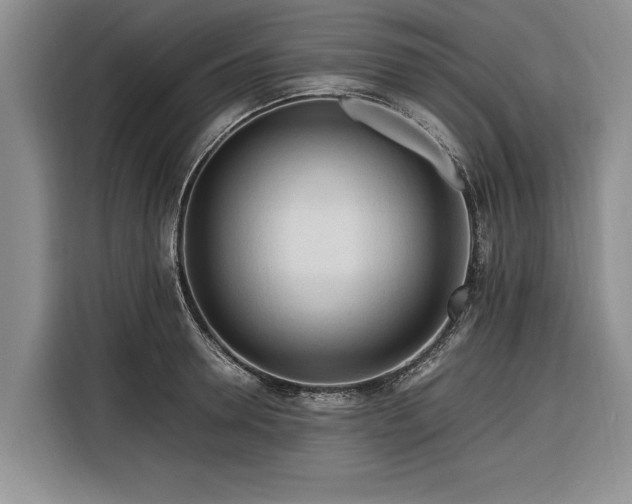 X0000116260946200912071019