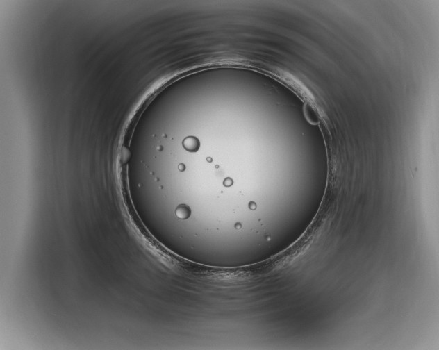 X0000116260947200912071019