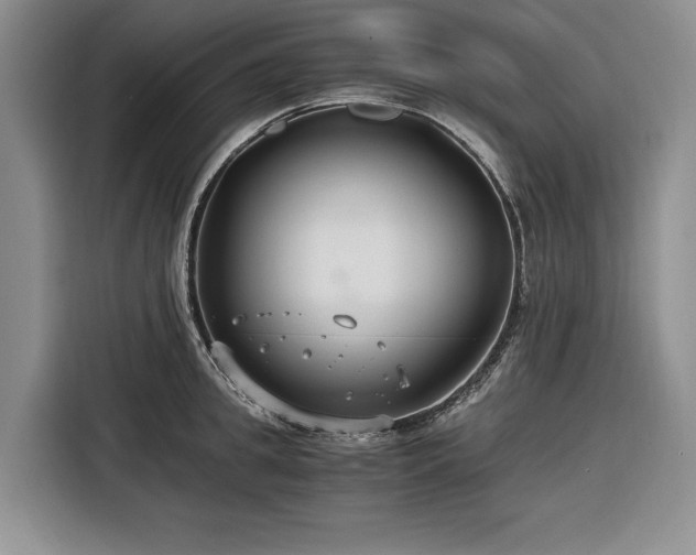X0000116260949200912071019