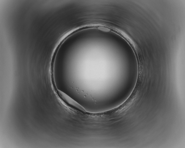 X0000116260951200912071019