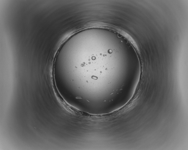 X0000116260954200912071020