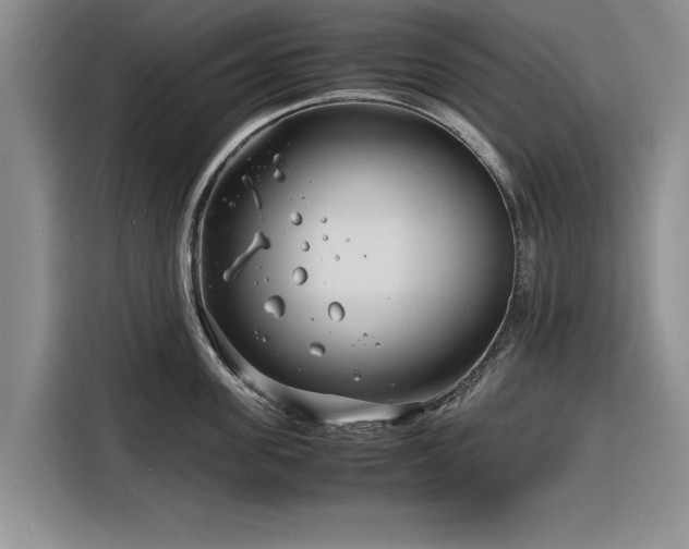 X0000116260955200912071020