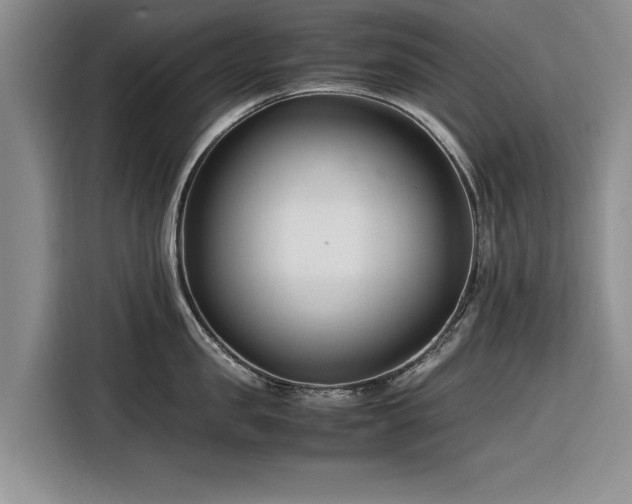X0000116260957200912071020