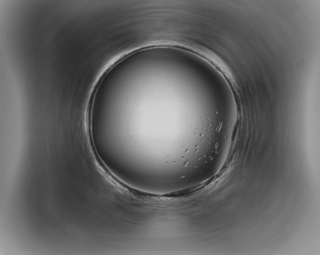 X0000116260958200912071020
