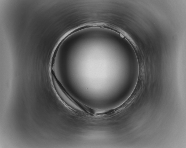 X0000116260959200912071020