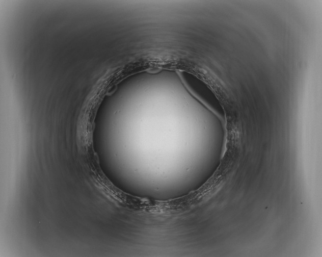 X0000116260961200912071019