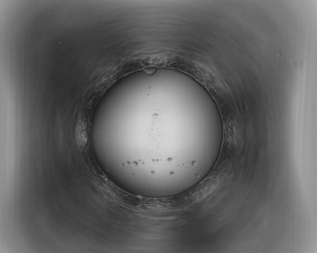 X0000116260962200912071019