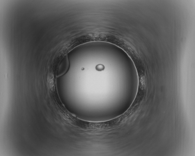 X0000116260963200912071019