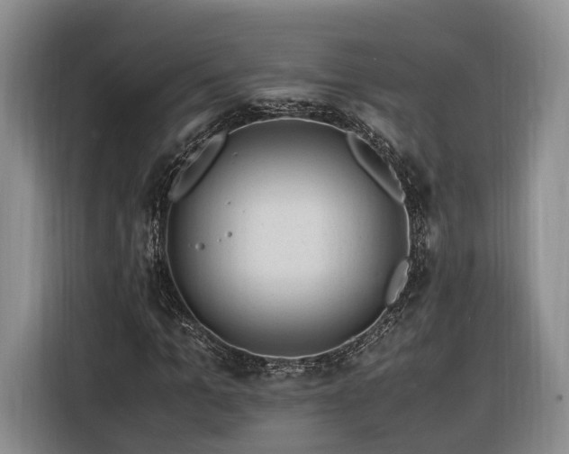 X0000116260965200912071019