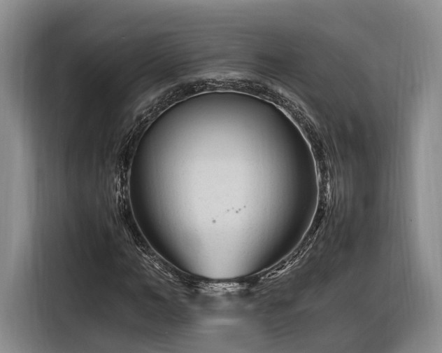 X0000116260966200912071019