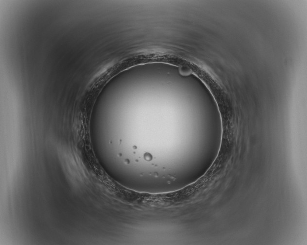 X0000116260967200912071019