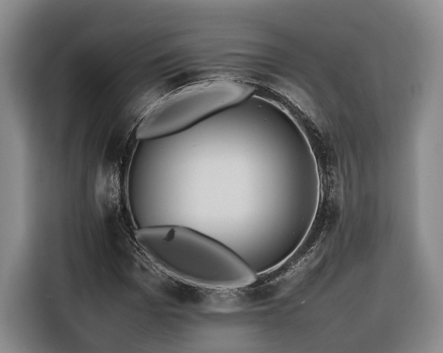 X0000116260969200912071019