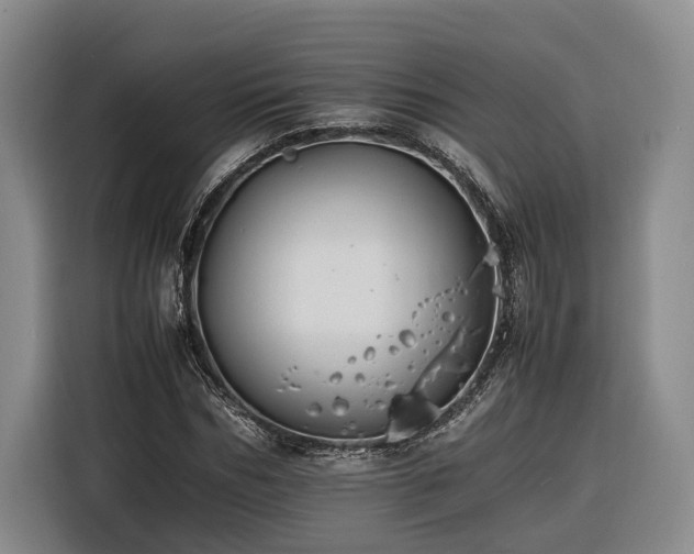 X0000116260970200912071019