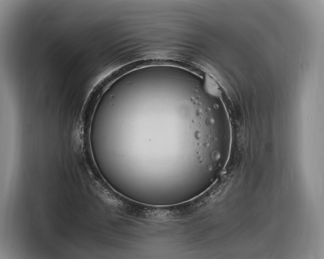 X0000116260971200912071019