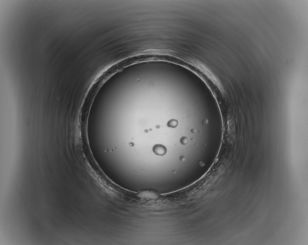 X0000116260972200912071019