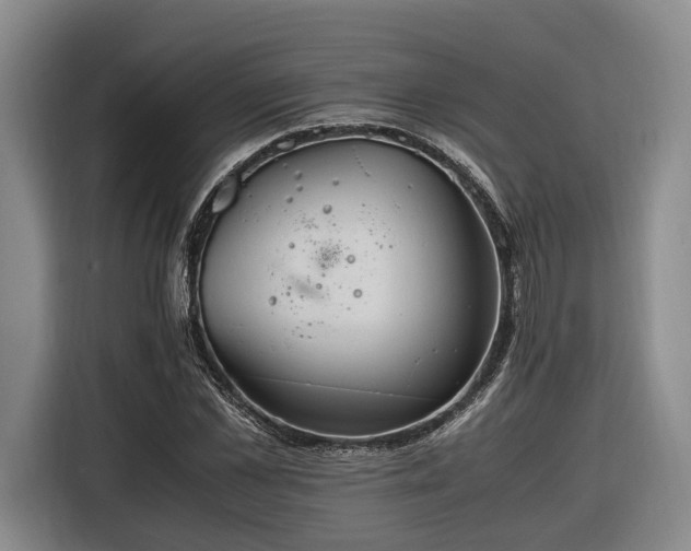 X0000116260973200912071019