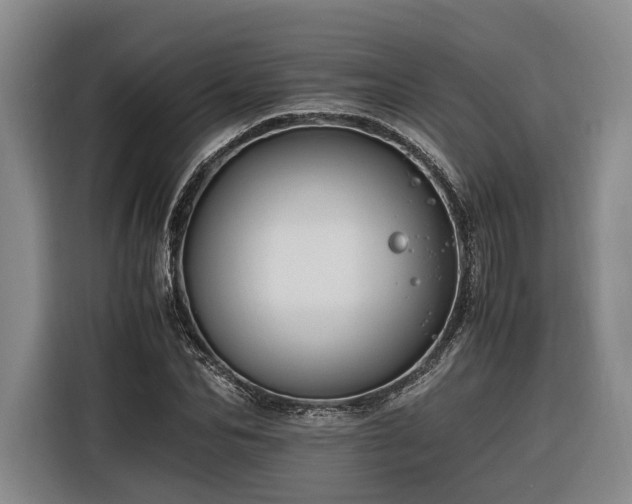 X0000116260974200912071019