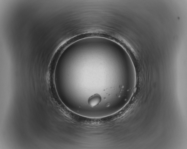 X0000116260975200912071019