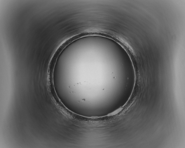 X0000116260976200912071019