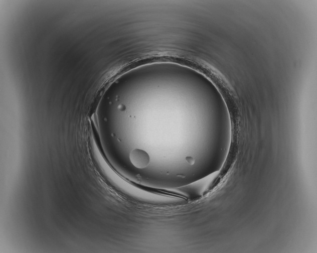 X0000116260977200912071019