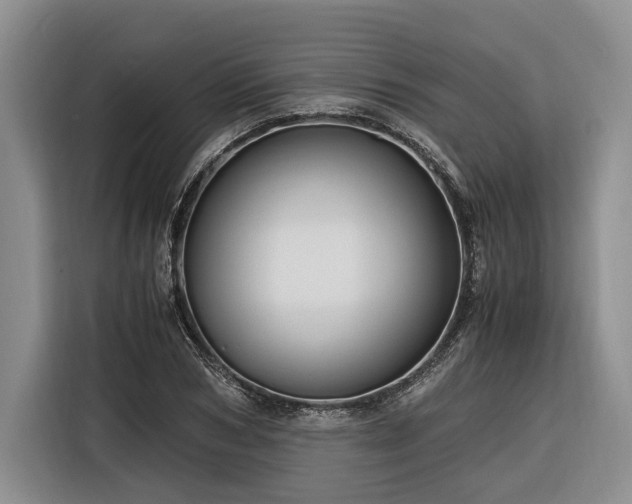 X0000116260978200912071019