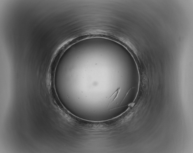 X0000116260979200912071019