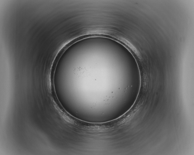 X0000116260980200912071019
