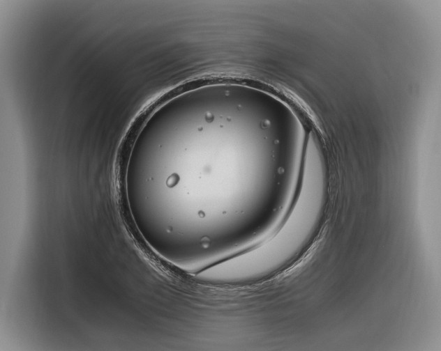 X0000116260981200912071019