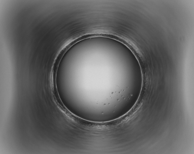 X0000116260982200912071019