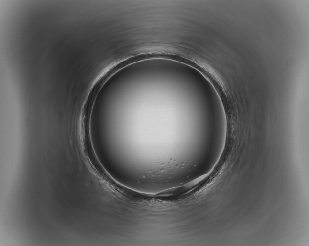 X0000116260983200912071019