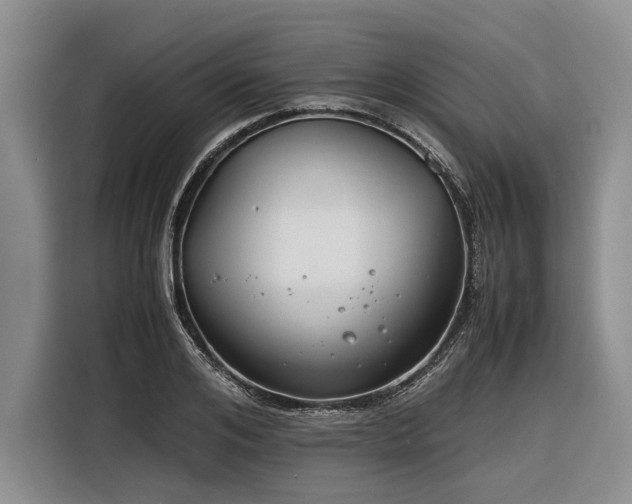 X0000116260984200912071019