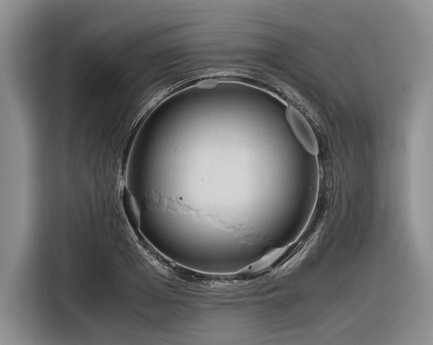 X0000116260985200912071019