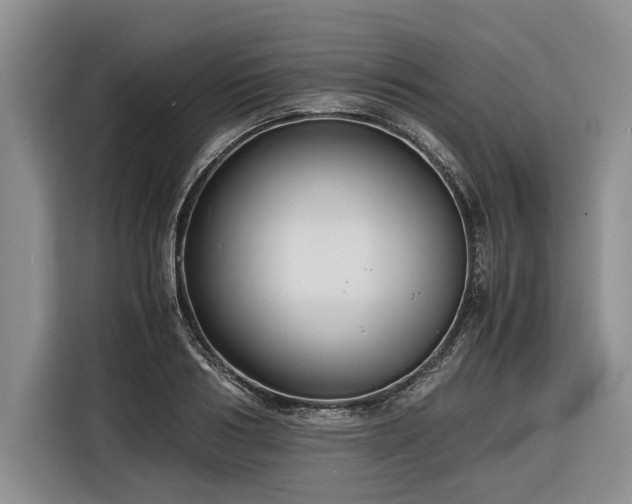 X0000116260986200912071019