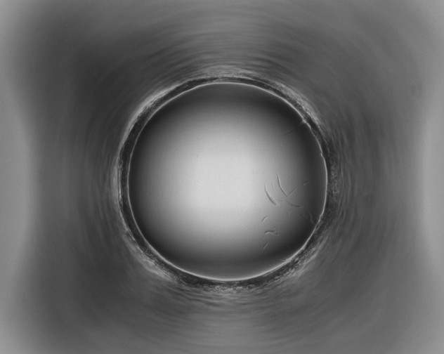 X0000116260987200912071019