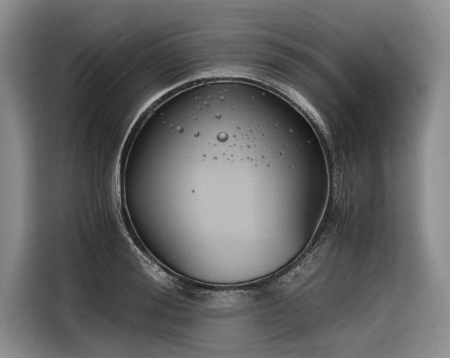 X0000116260988200912071019
