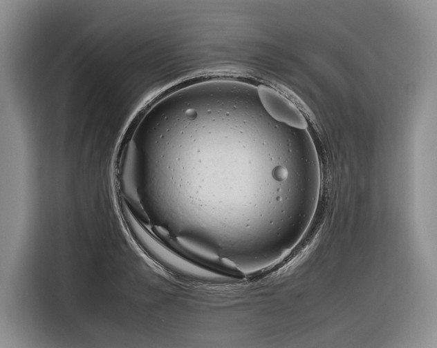 X0000116260989200912071019