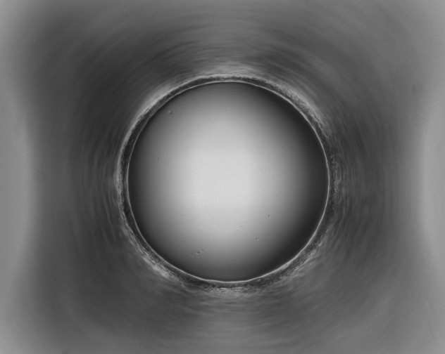 X0000116260990200912071019