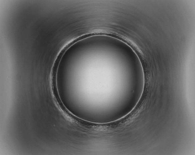X0000116260991200912071019
