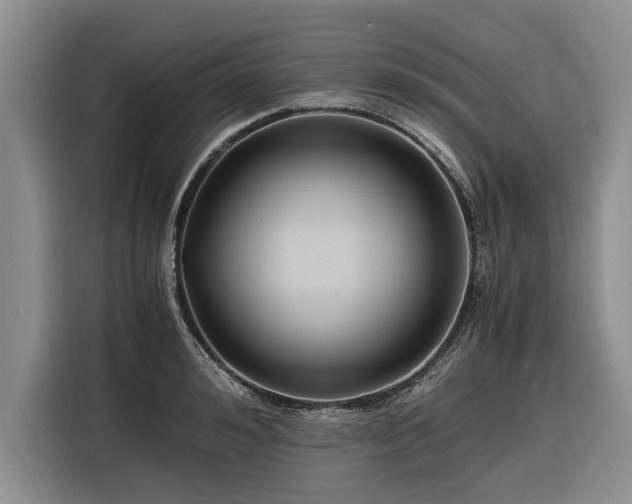 X0000116260992200912071019