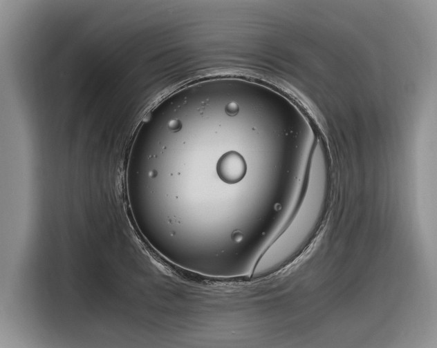 X0000116260993200912071019