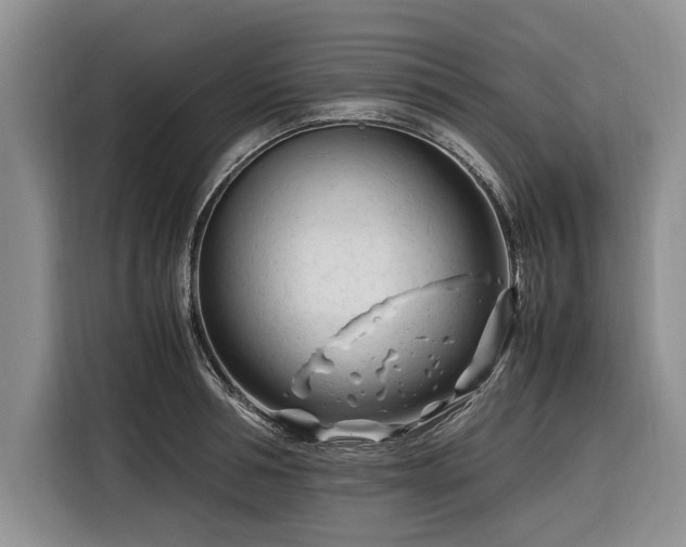 X0000116260994200912071019