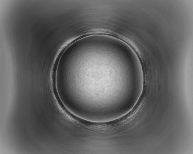 X0000116260995200912071019