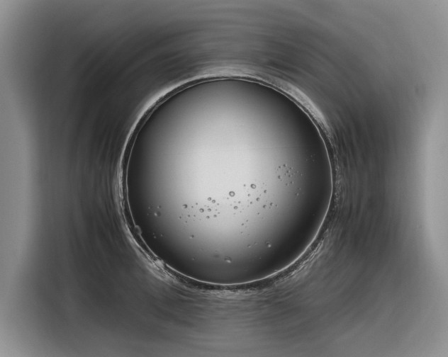 X0000116260996200912071019