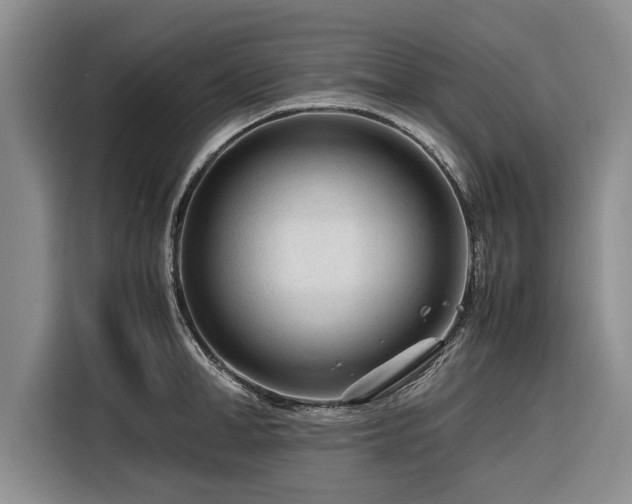 X0000116260998200912071019