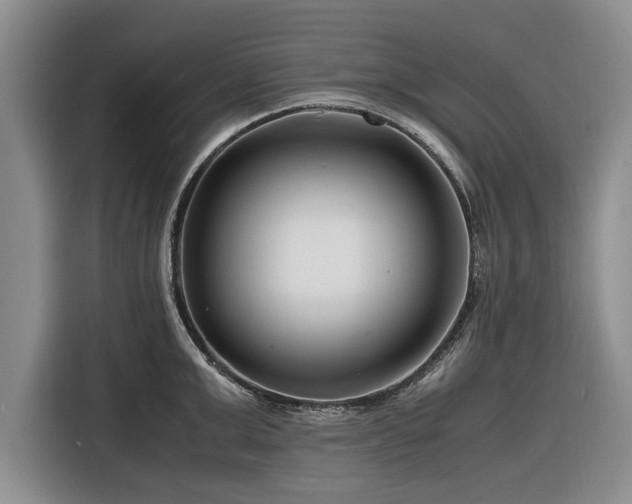 X0000116260999200912071018
